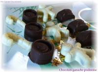 Chocolats Fourrs Ganache-Pralinoise